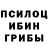 Галлюциногенные грибы Psilocybine cubensis Smurpiknik